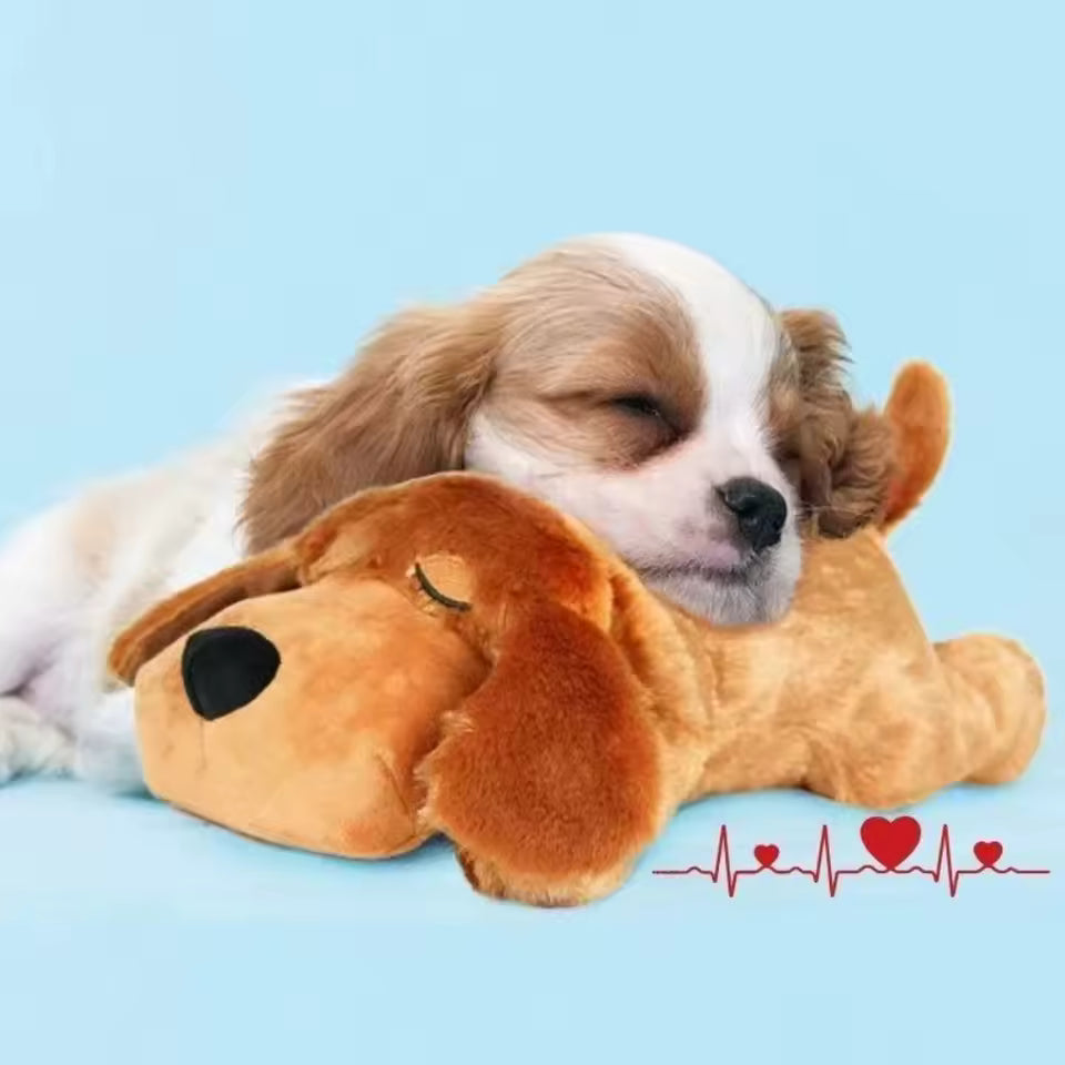 Anxiety Relief Puppy
