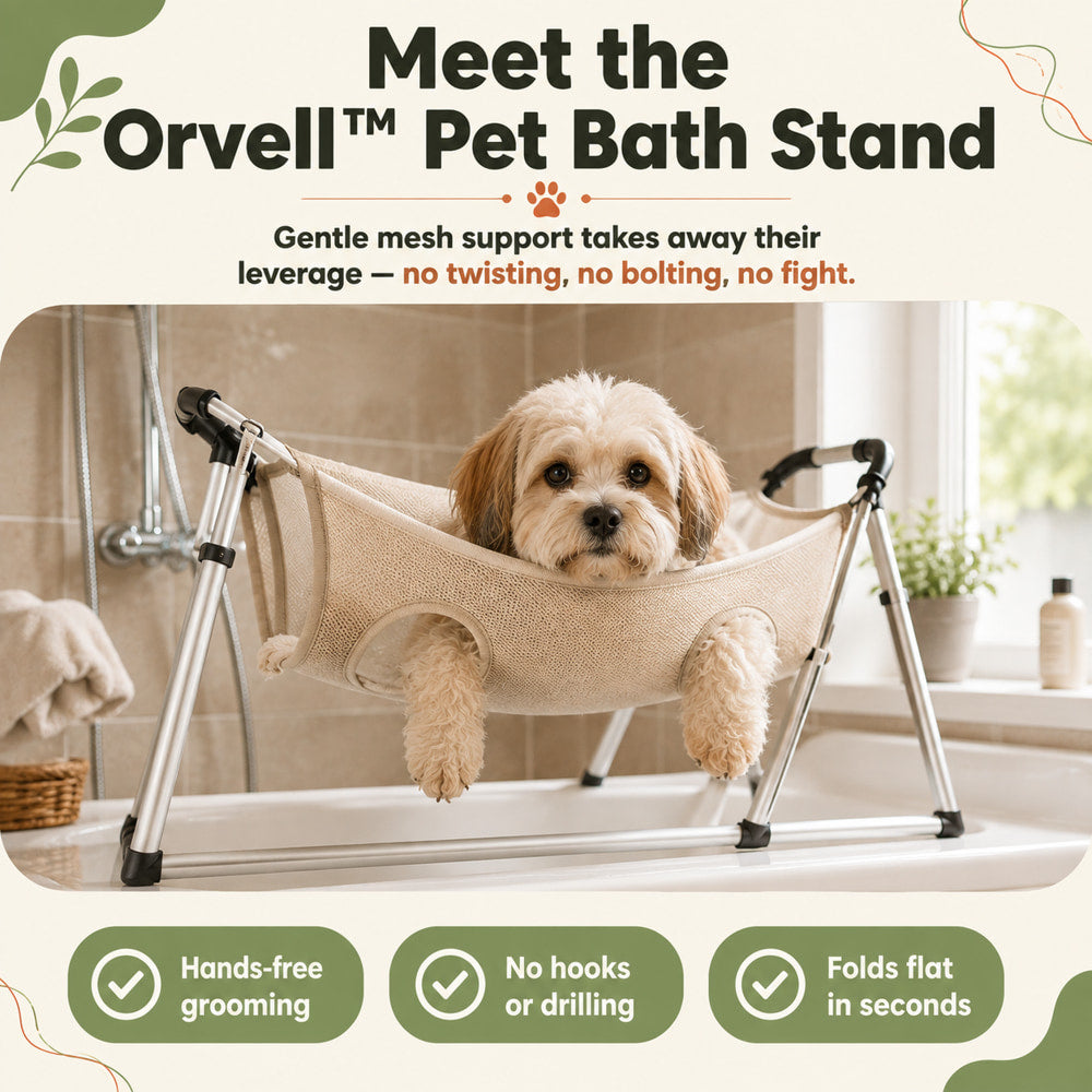 Foot Drop Braces Go Unused