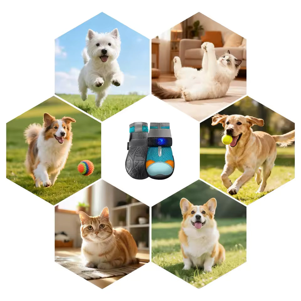 Dog Shoes