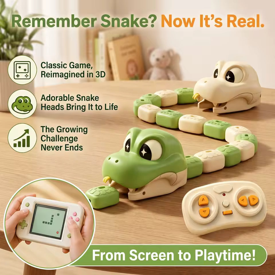 RC Magnetic Snake Toy