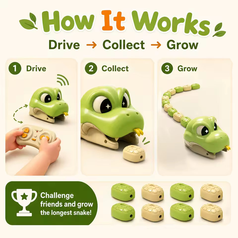 RC Magnetic Snake Toy