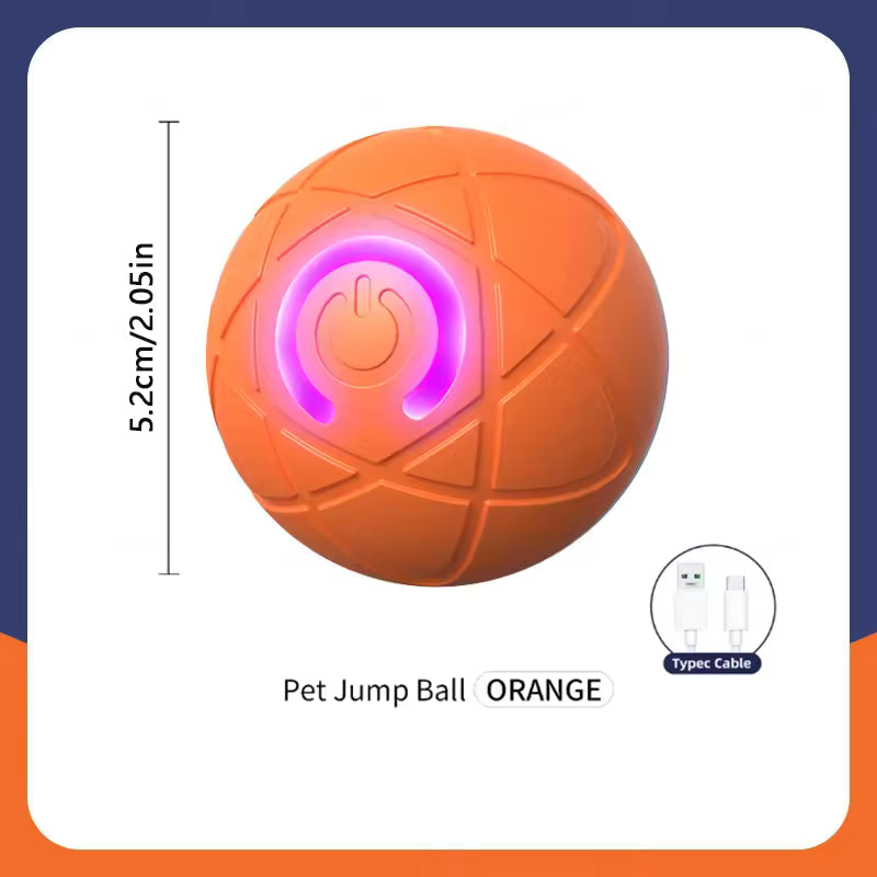 Smart Ball for Dogs