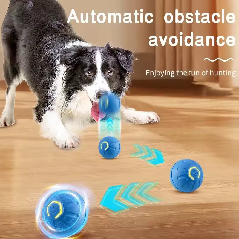 Smart Ball for Dogs