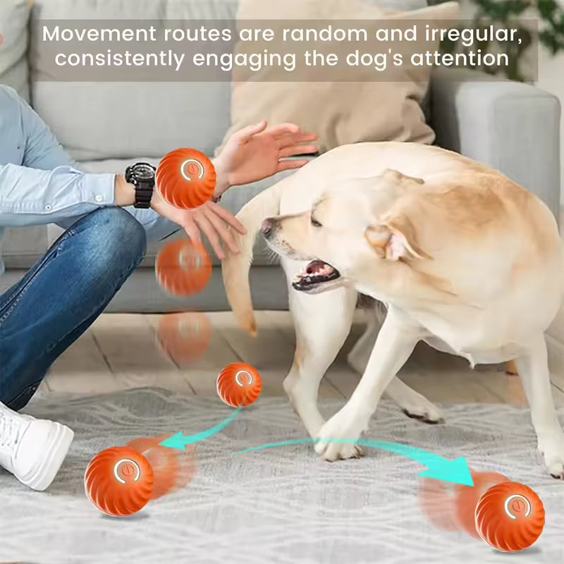 Smart Ball for Dogs
