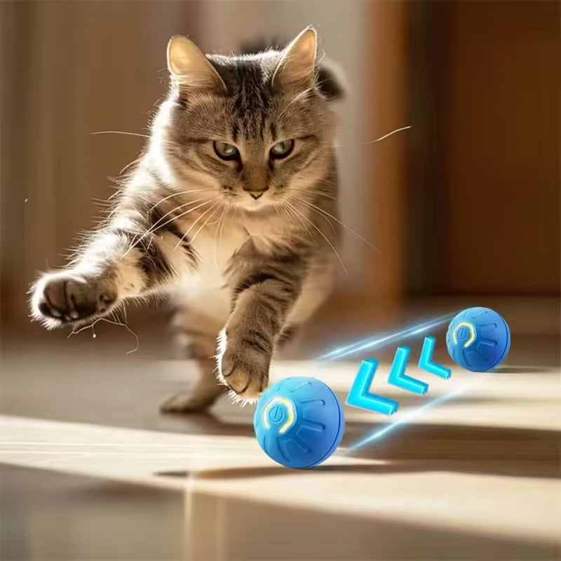 Smart Ball for Dogs