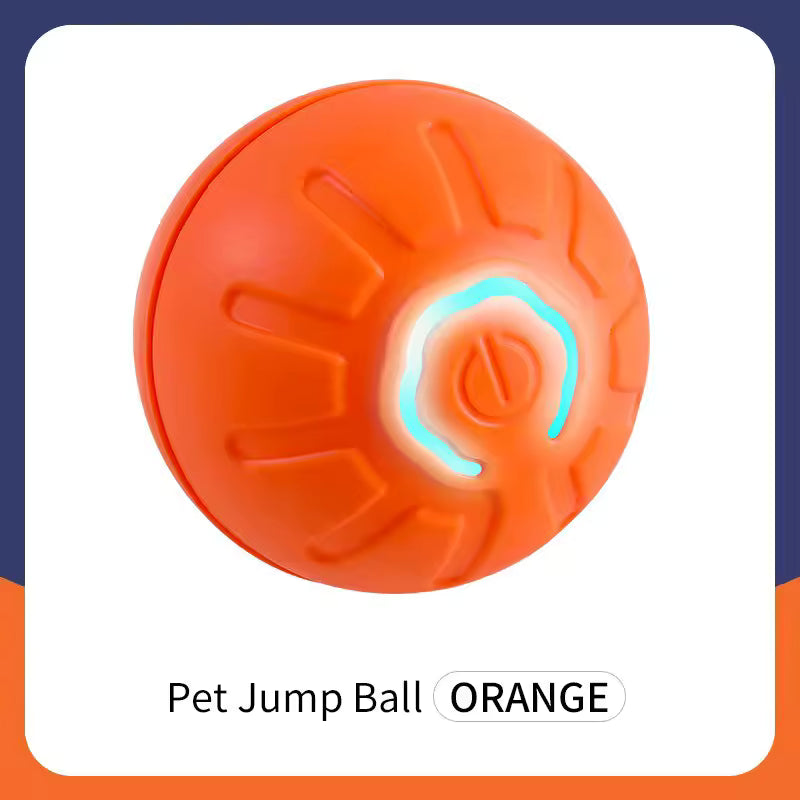Smart Ball for Dogs