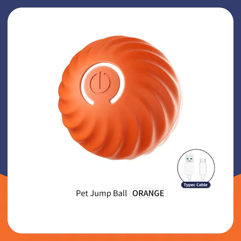 Smart Ball for Dogs