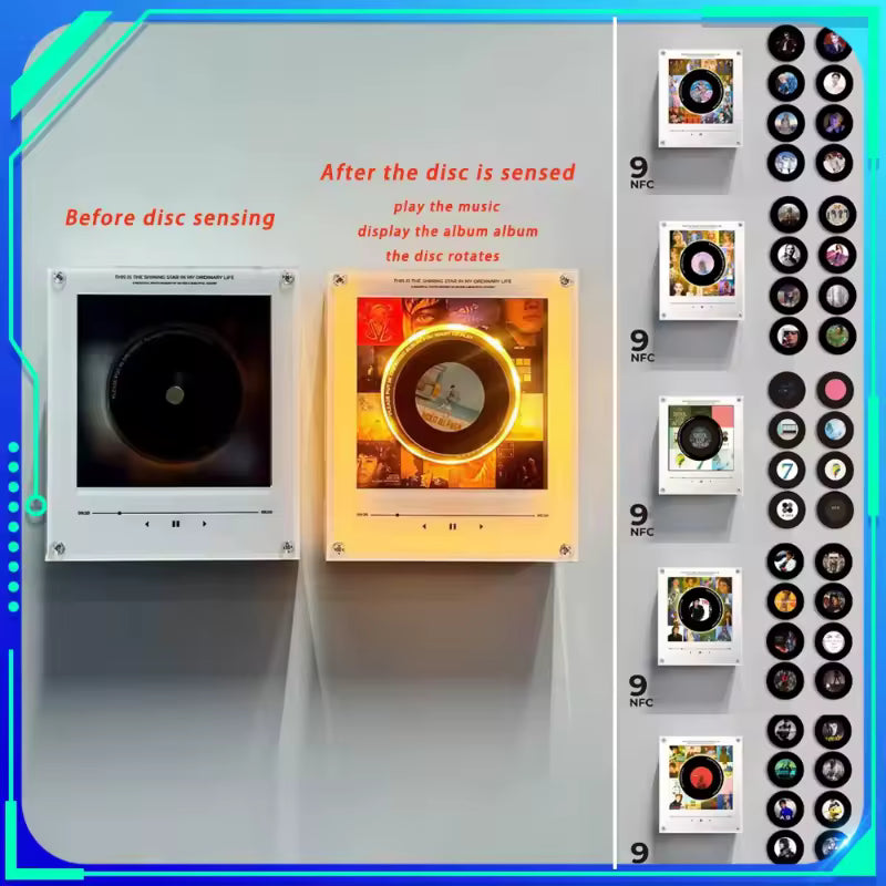 Vinyl Record Player